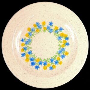 Homer Laughlin Sun Drops Bread & Butter Plate Vintage 1970s Floral Dishware